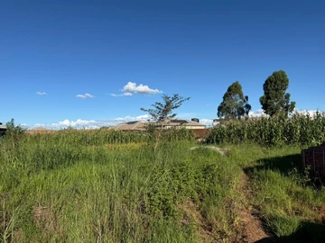 Stands & Residential Land