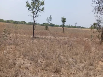 Farm & Agricultural Land