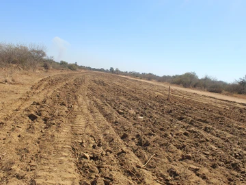 Farm & Agricultural Land