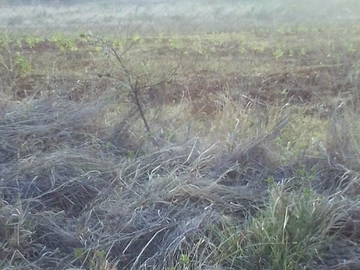 Farm & Agricultural Land