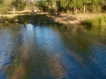 Farm & Agricultural Land