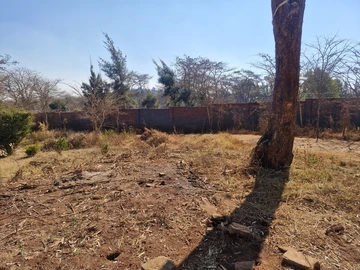 Stands & Residential Land