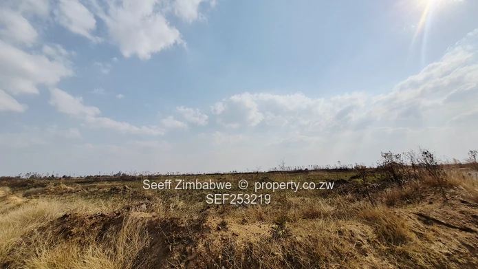 1200m² Nyabira Stand  (Sole Mandate)