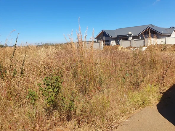 Stands & Residential Land