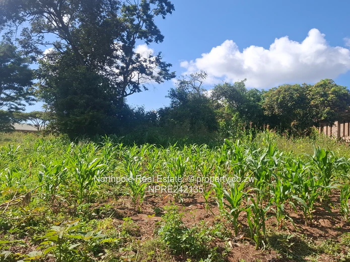 Perfect For  First Time Owners!!!