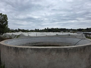 Farm & Agricultural Land