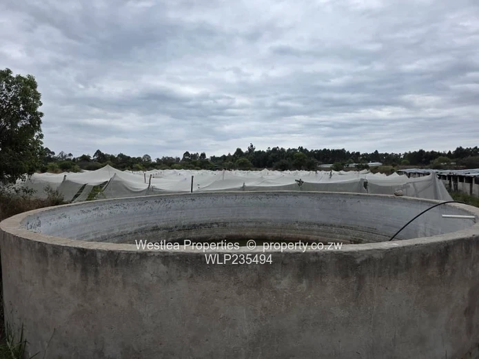 An opportunity not to miss