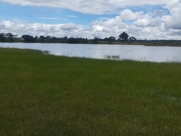 Farm & Agricultural Land