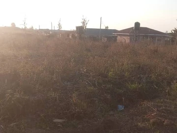 Stands & Residential Land