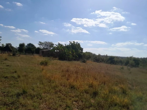 Farm & Agricultural Land