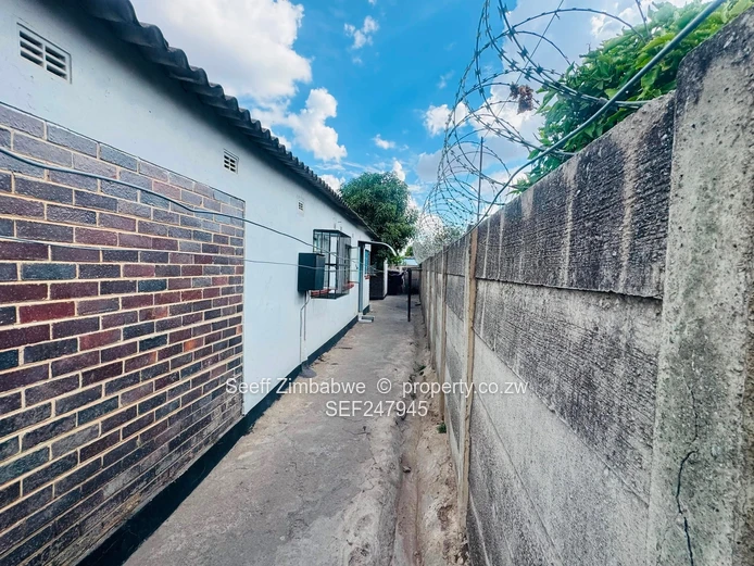 Newly Renovated 4-Bedroom Home in Highfield (Sole Mandate)