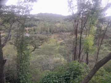 Commercial & Industrial Land