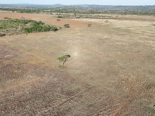 Farm & Agricultural Land