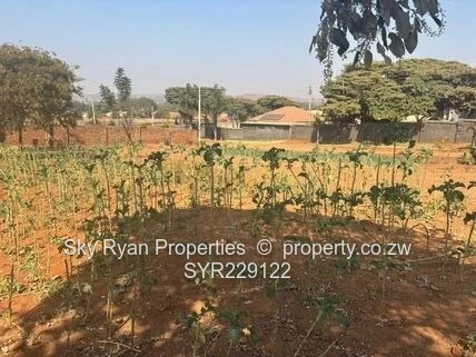Prime Subdivision Stand For Sale In Tynwald
