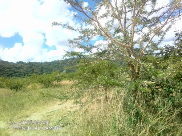  1076.22 Ha Farm & Agricultural Land for Sale in Makonde, Mashonaland West