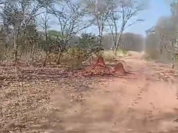 Farm & Agricultural Land