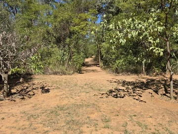 Farm & Agricultural Land