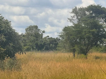 Farm & Agricultural Land