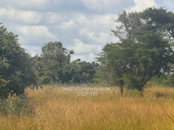 Doornfontein 1ha Agro Plot  — Gravel Access, Arable Soil & Grazing