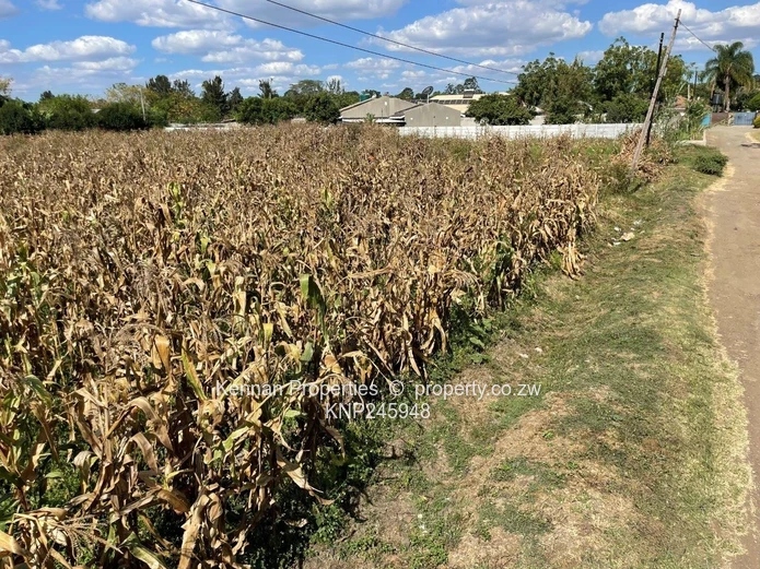 Old Malborough Stand For Sale  