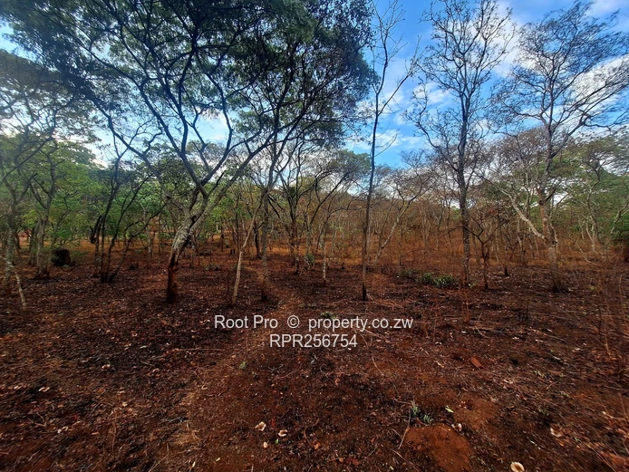 Well-treed Lake Chivero Stand (taking mortgage). . . (Sole Mandate)