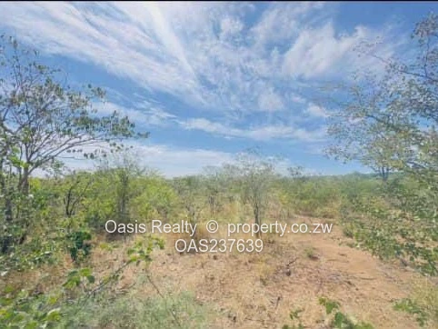 Prime Recreational Commercial Stand for Sale with Title Deeds  – Victoria Falls (Sole Mandate)