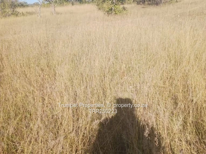 300m² Grassy Stand in Rydale Ridge - Sewer & Gravel Roads