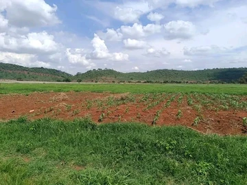 Farm & Agricultural Land