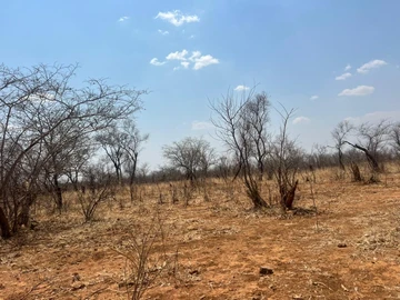 Farm & Agricultural Land