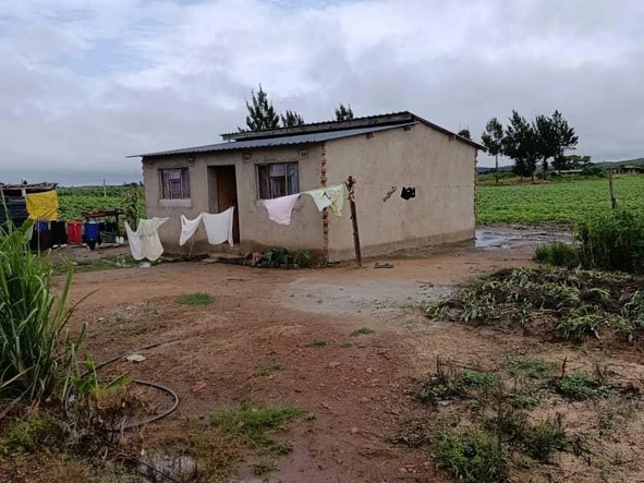 Farm & Agricultural Land