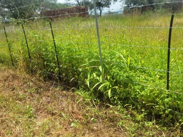 Farm & Agricultural Land