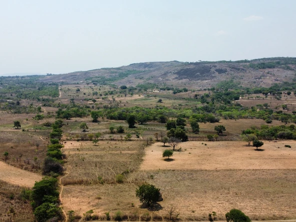 Farm & Agricultural Land