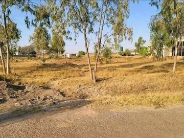 Arlington estate stand for sale 
