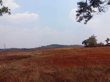 Farm & Agricultural Land