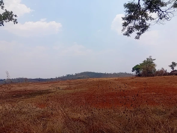 Farm & Agricultural Land