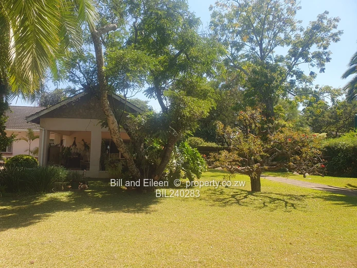 For sale  Greencroft 