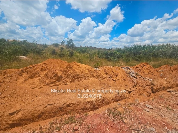 Adelaide Park stands for sale 