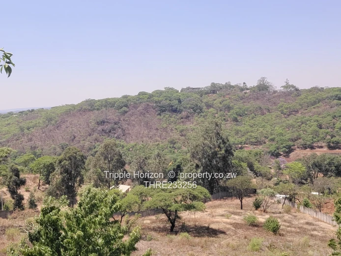 Enormous Investment Opportunity 