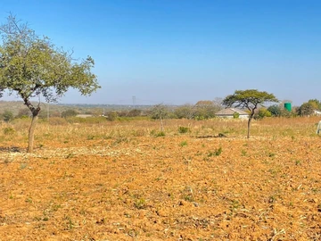 Farm & Agricultural Land