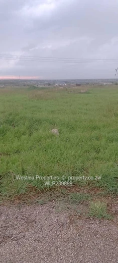 An opportunity not to miss