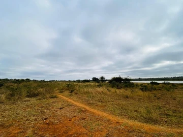 Farm & Agricultural Land