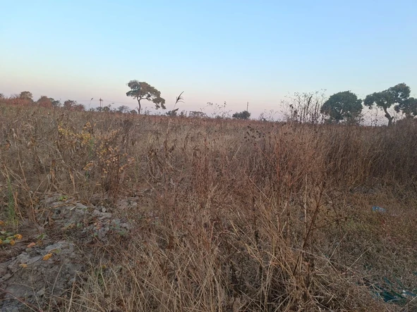 Farm & Agricultural Land