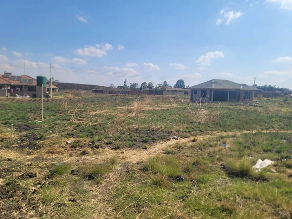 Stands & Residential Land