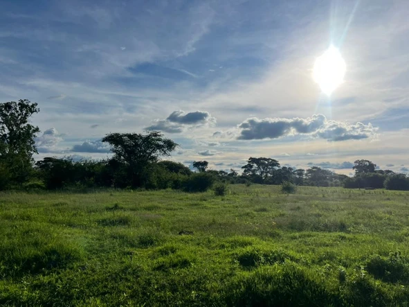 Farm & Agricultural Land