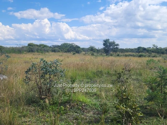 Wedza Primary and Secondary School stand