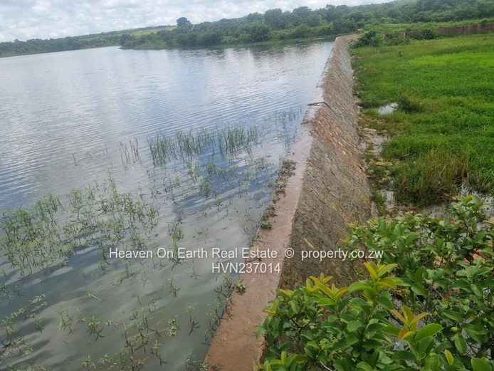 Green Gold For You Farmers!!