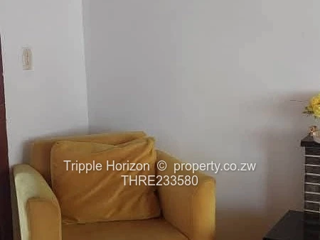 Meyrick park house for sale