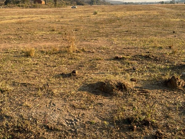 Farm & Agricultural Land