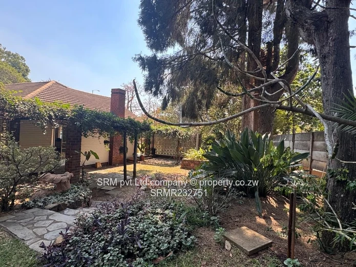 A house to let for either residential or commercial use