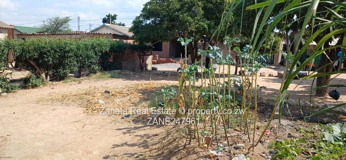 200 m² Stand with Cottage, Garden & Trees — Chitungwiza